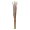Hard Broom 1 Piece