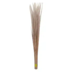Hard Broom 1 Piece